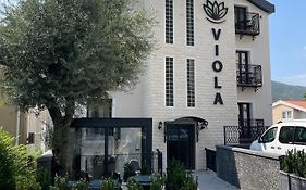 Viola Hotel Budva